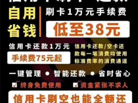 中国建设银行龙卡信用卡购车分期业务约定条款